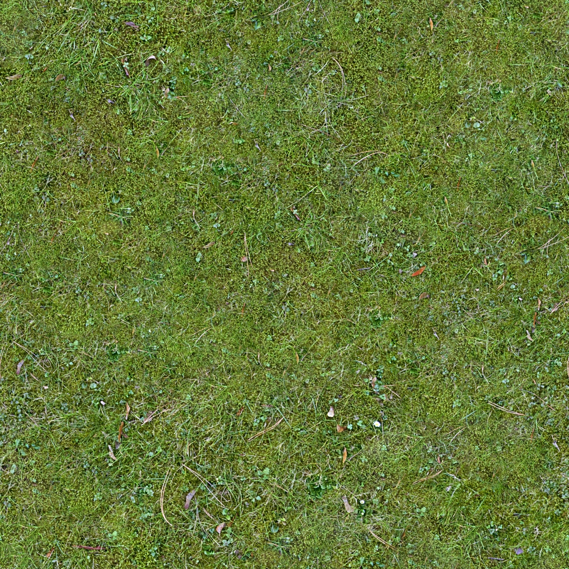 Lush Seamless Grass Texture Grass Texture Seamless Grass Textures Images