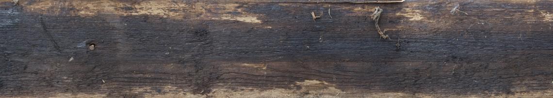 Wood Planks Old 0299