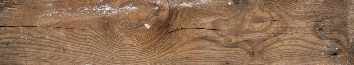 Wood Planks Old 0255