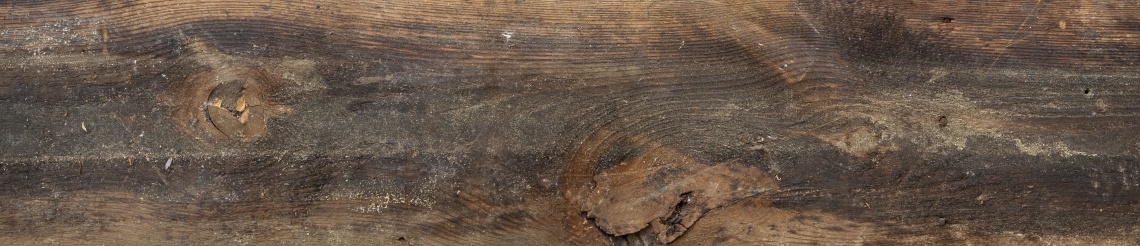 Wood Planks Old 0248