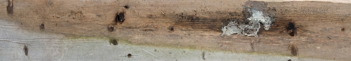 Wood Planks Old 0238