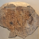 Reliefs Egyptian