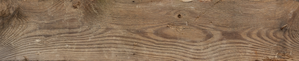 Wood Planks Old 0256