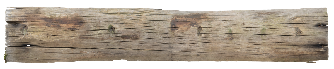 Wood Planks Old 0313