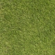 Grass Green