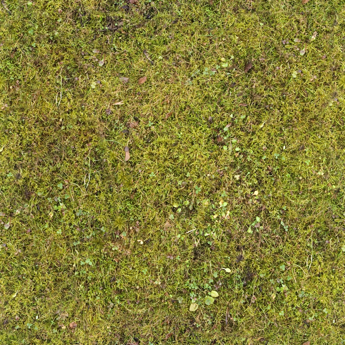 grass texture seamless kidsWas